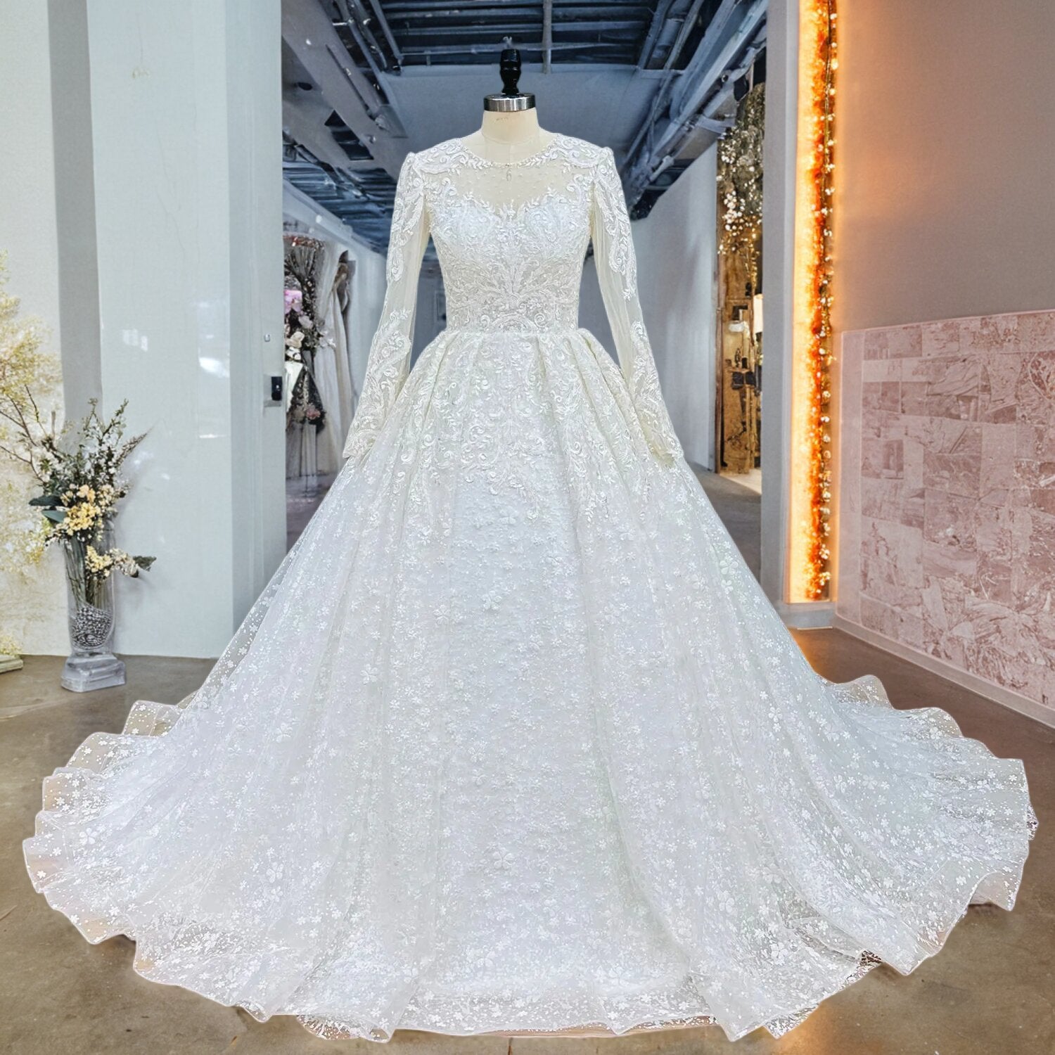 Long Sleeve Ball Gown Wedding Dress with Illusion Back Beading and Appliques