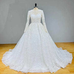 Long Sleeve Ball Gown Wedding Dress with Illusion Back Beading and Appliques