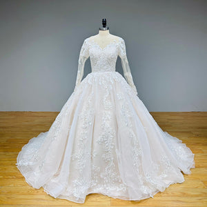 Long Sleeve Ball Gown Wedding Dress with Illusion Back and Sequined Appliques