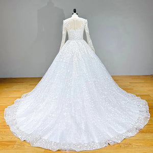 Long Sleeve Ball Gown Wedding Dress with Illusion Back Beading and Appliques