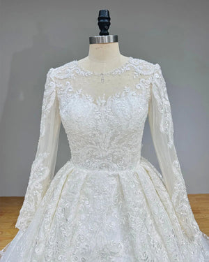 Long Sleeve Ball Gown Wedding Dress with Illusion Back Beading and Appliques