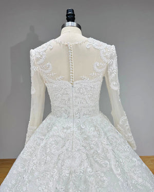 Long Sleeve Ball Gown Wedding Dress with Illusion Back Beading and Appliques