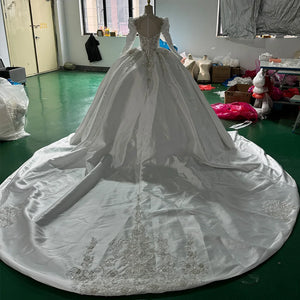 Long Sleeve Lace Princess Ball Gown Wedding Dress with Exquisite Detailing