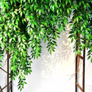 Y10PCS Faux Italian Ruscus Stems Greenery for Wedding Arch Bouquets Home Decor