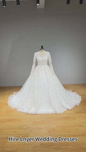 Long Sleeve Ball Gown Wedding Dress with Illusion Back Beading and Appliques