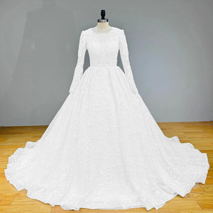 Long Sleeve Ball Gown Wedding Dress with Illusion Back Beading and Appliques